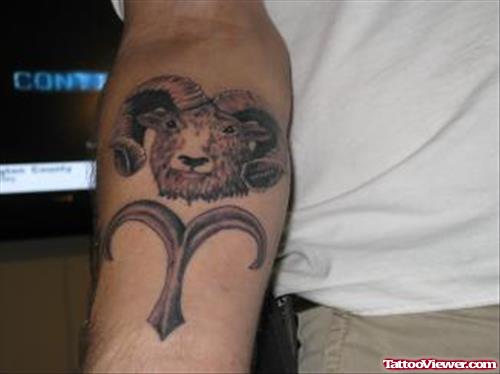 Grey Ink Goat Head Aries Tattoo On Right Forearm