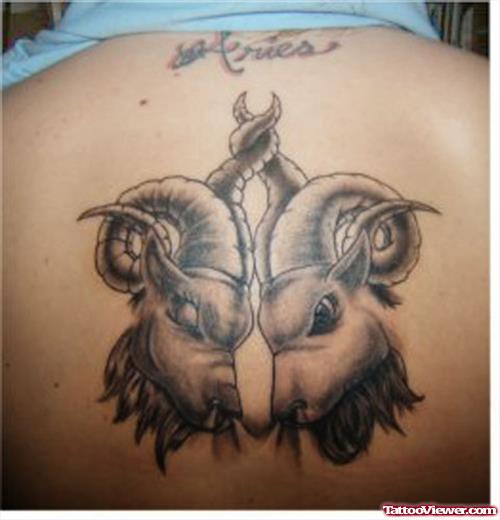 Grey Ink Aries Head Tattoos On Back