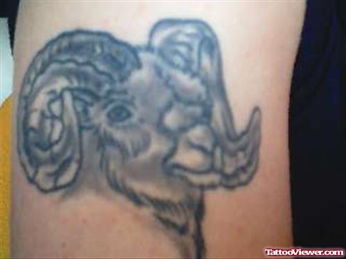 Grey Goat Head Aries Tattoo