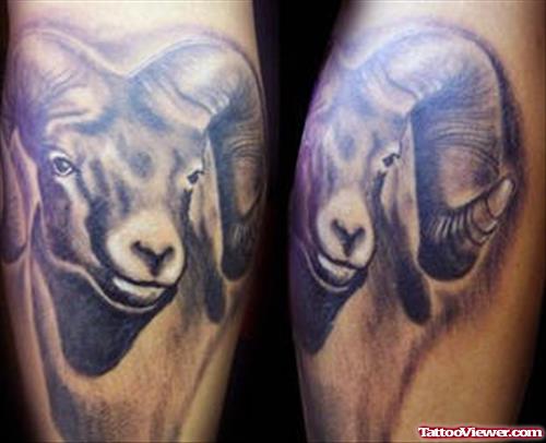 Grey Ink Goat Head Aries Tattoos