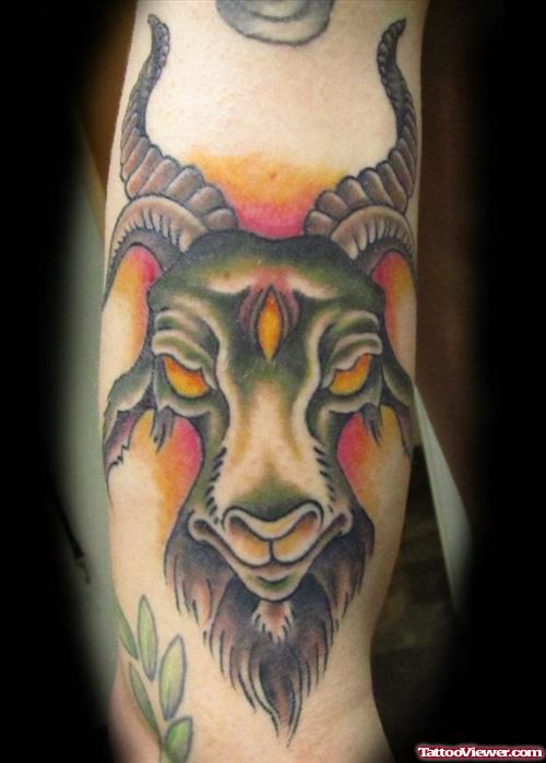 Color Ink Aries Head Tattoo On Sleeve