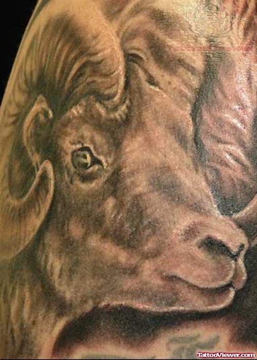 Aries Tattoo Picture