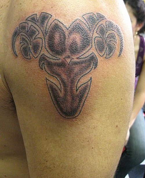 Grey Ink Tribal Goat Head Aries Tattoo On Shoulder