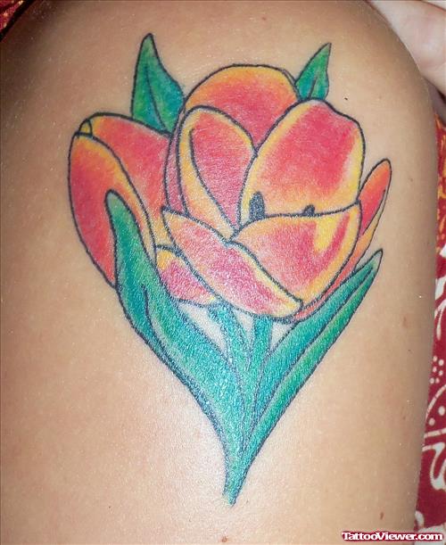 Awesome Color Flower Tattoo On Arm