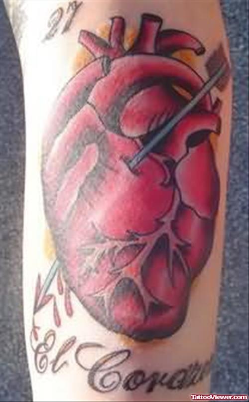 Heart Image Tattoo On Arm