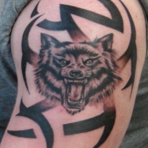 Wolf Head and Tribal Tattoo On Left Arm