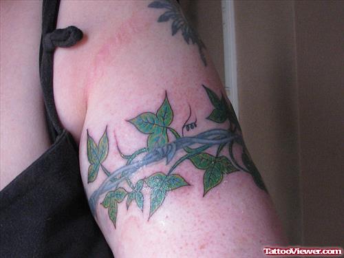 Green Leafs Armband Tattoo For Girls