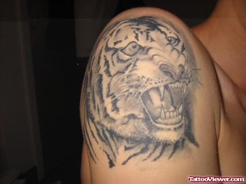 Grey Ink Tiger Head Army Tattoo On Shoulder