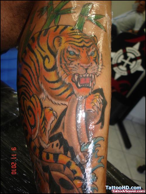 Asian Tiger Tattoo