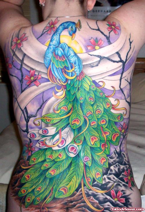 Awesome Colored Peacock Back Tattoo