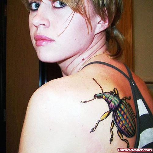 Beetle Color Ink Back Shoulder Tattoo