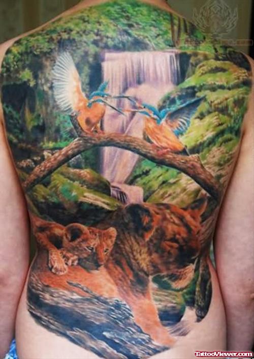 Hummingbird And Cub Tattoo On Back