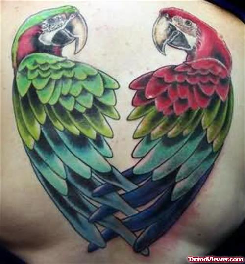 Parrot Tattoo On Back