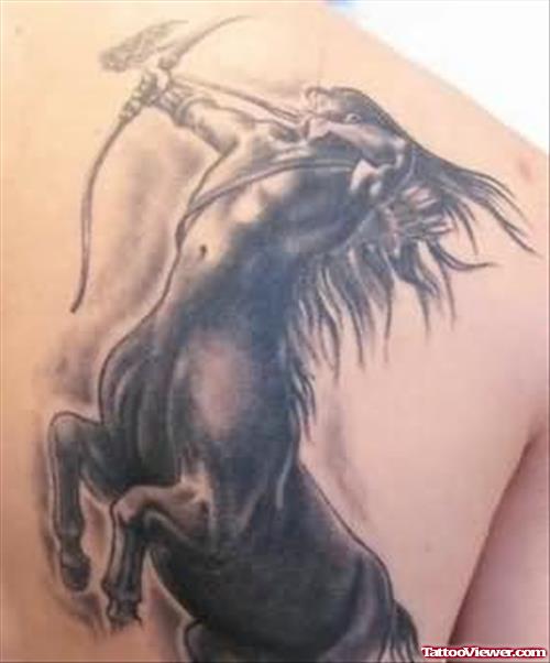 Sagittarius Tattoos On Back Body