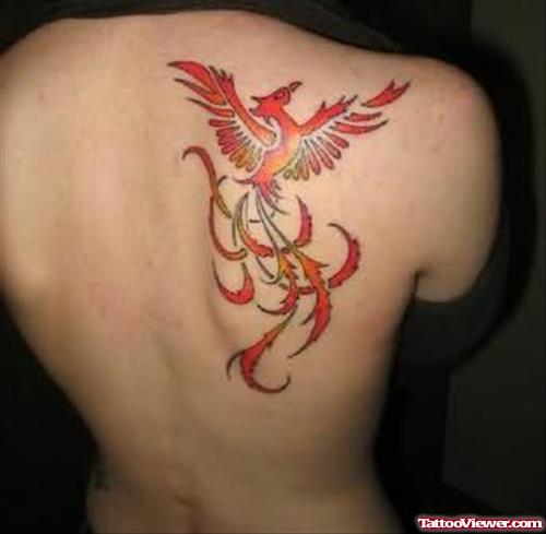 Phoenix Tattoo On Back Body