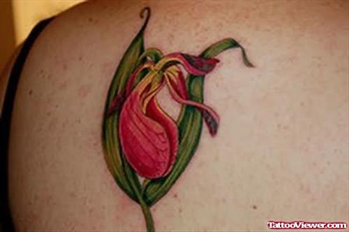 Orchid Flowers Tattoo Design On Back