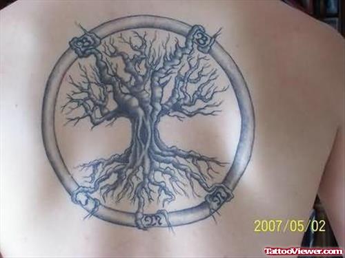Large Tree Tattoo On Back