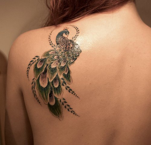 Awesome Peacock Tattoo On Girl Back