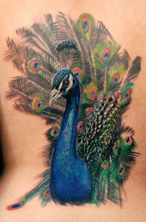 Colored Peacock Head Back Tattoo