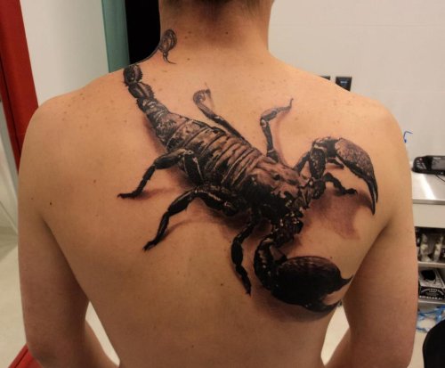 Black Ink 3D Scorpio Tattoo On Back