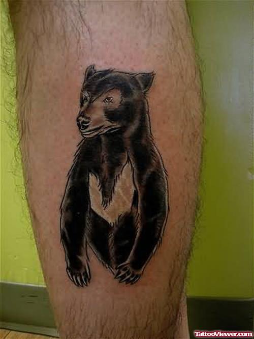 Wild Bear Tattoo On Leg