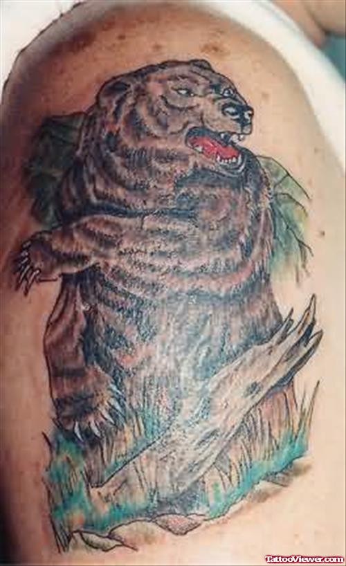 Angry Bear Tattoo On Shoulder