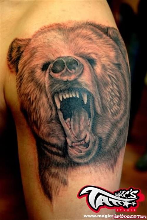 Ireland Bear Tattoo