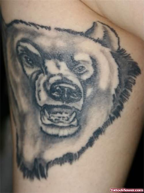 Bear Showing Teeth Tattoo