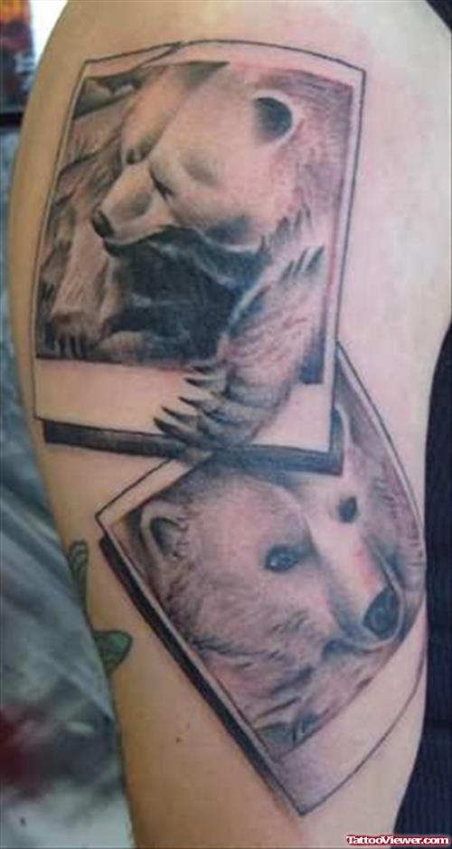 Bear Images Tattoo On Bicep