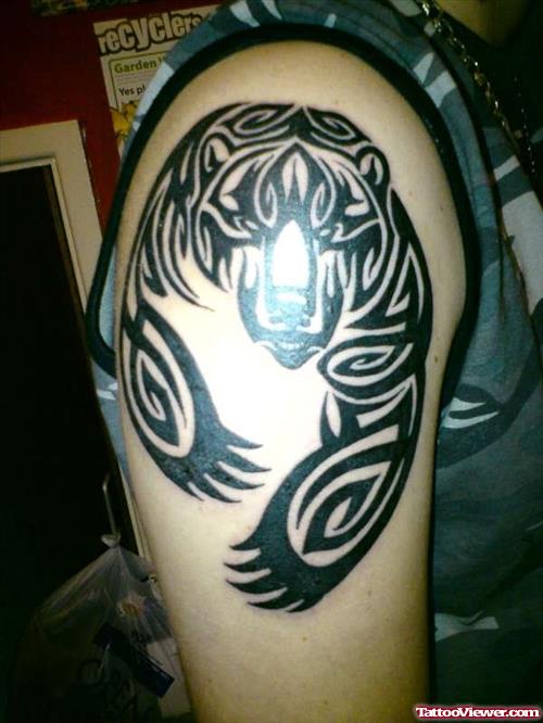Celtic Bear Tattoo On Shoulder