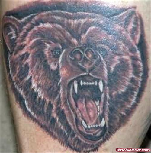 Bear Tattoo Dangerous