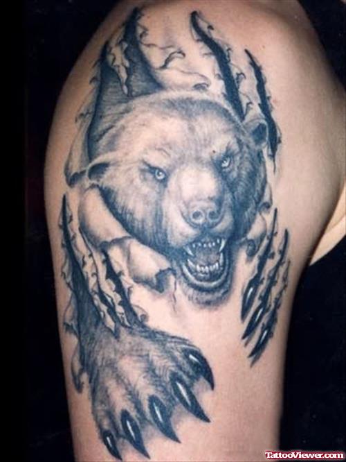 Angry Celtic Bear Tattoo On Shoulder