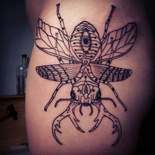 Grey Ink Beetle Tattoo On Shoulder