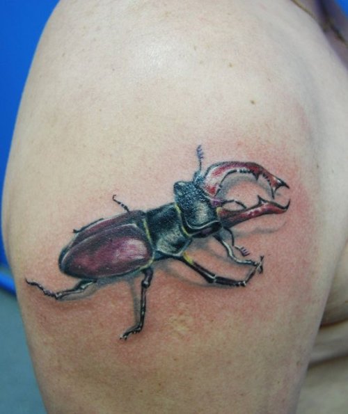 Color Ink Beetle Tattoo On Man Right Shoulder