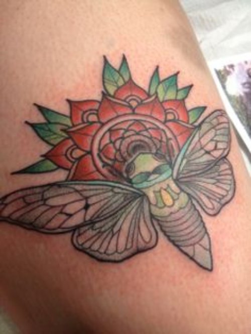 Red Mandala Flower And Beetle Tattoo