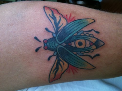 Color Eye Beetle Tattoo On Leg