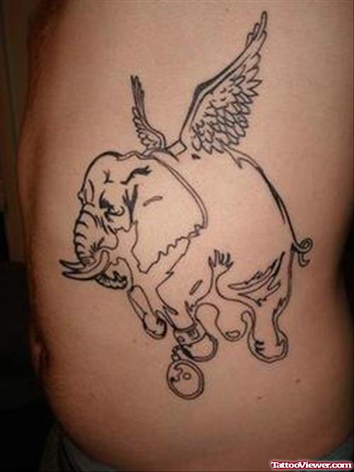 Elephant Wings Tattoo On Belly