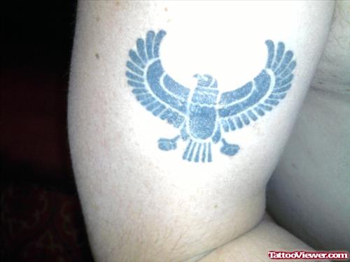 Eagle Tattoo On Biceps