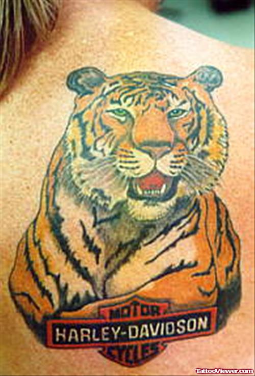 Tiger Tattoo Reflecting Harley Bike Symbol