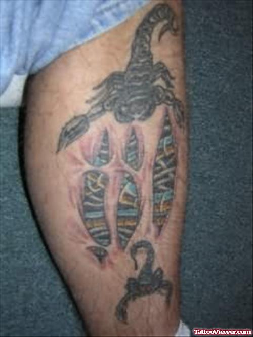 Scorpion Biomechanic Tattoo