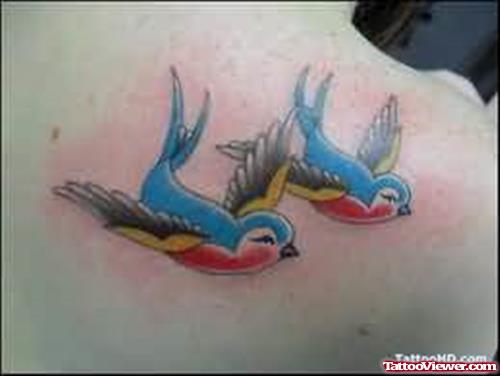 Birds Pair Tattoo On Back