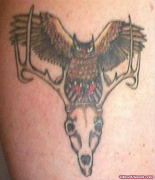 Owl Bird Tattoo On Back