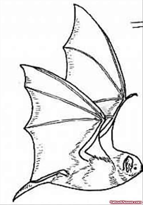 Bat Tattoo Picture