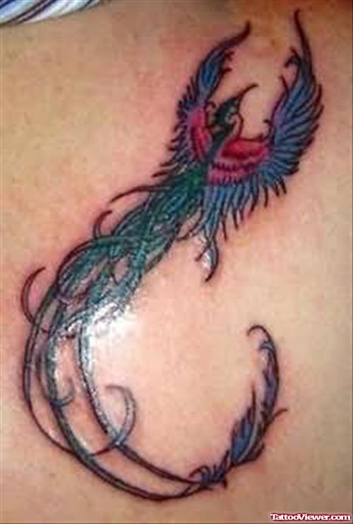 Amazing Bird Tattoo On Back
