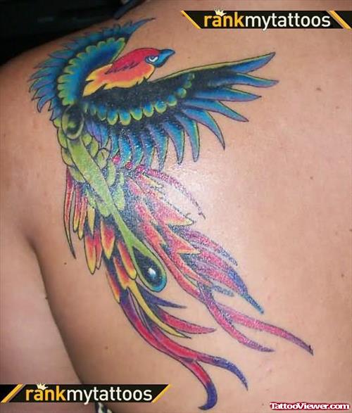 Amazing Colourful Bird Tattoo