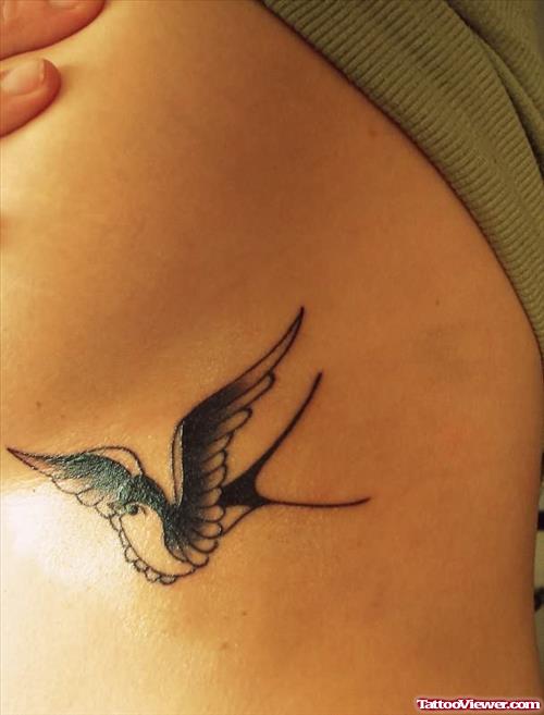 Swallow Bird Tattoo On Rib