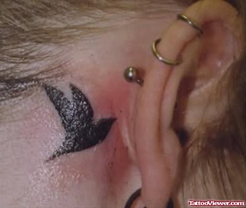 Bird Tattoo On Back Ear