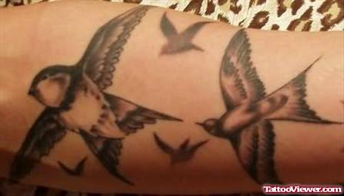 Flying Birds Tattoo On Arm