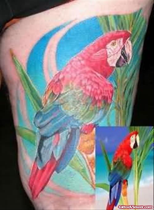 Colorful Parrot - Bird Tattoo