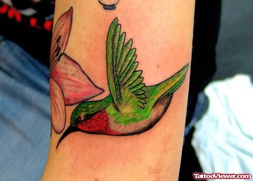 Colourful Bird Tattoo